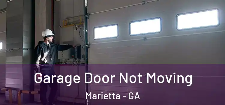  Garage Door Not Moving Marietta - GA